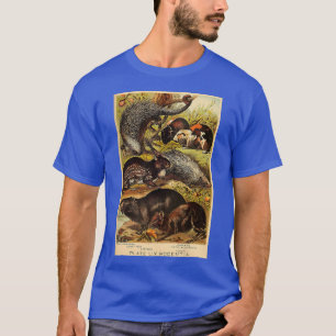 Capybara - Guinea Gris - Porcupine Vintage Animal T Shirt