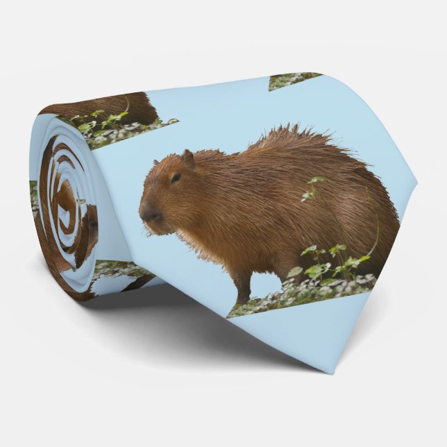 Capybara halsduk slips (Rullad)