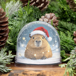 Capybara i Santa Hat jul Snö Globe