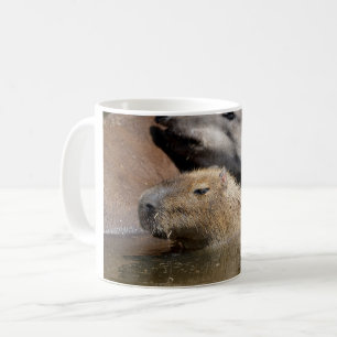 Capybara i vatten kaffemugg