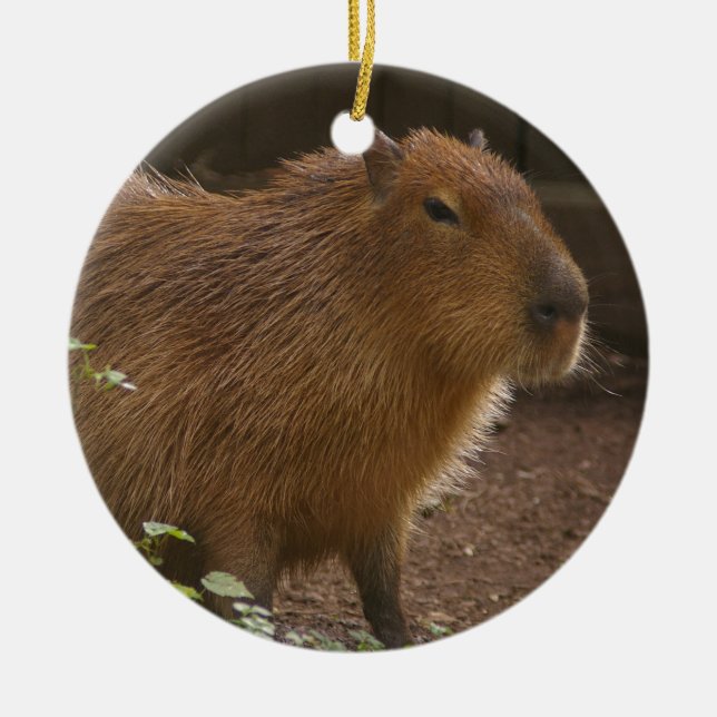 Capybara Julgransprydnad Keramik (Framsidan)