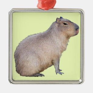 Capybara Julgransprydnad Metall