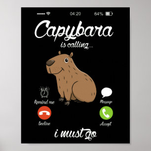 Capybara kallar sig Capibara Rodent Animal Lover Poster