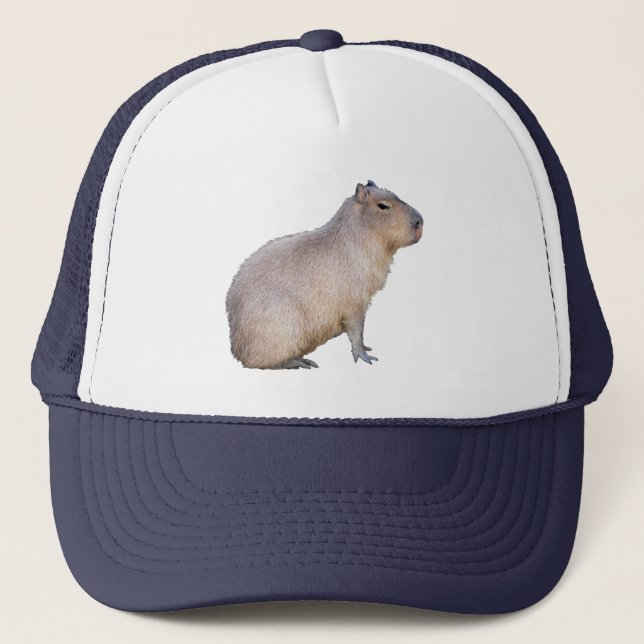 Capybara Keps (Framsida)