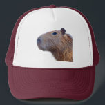 Capybara Keps<br><div class="desc">Ett foto av en söt Capybara-annons i roligten?</div>