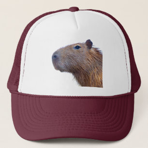 Capybara Keps
