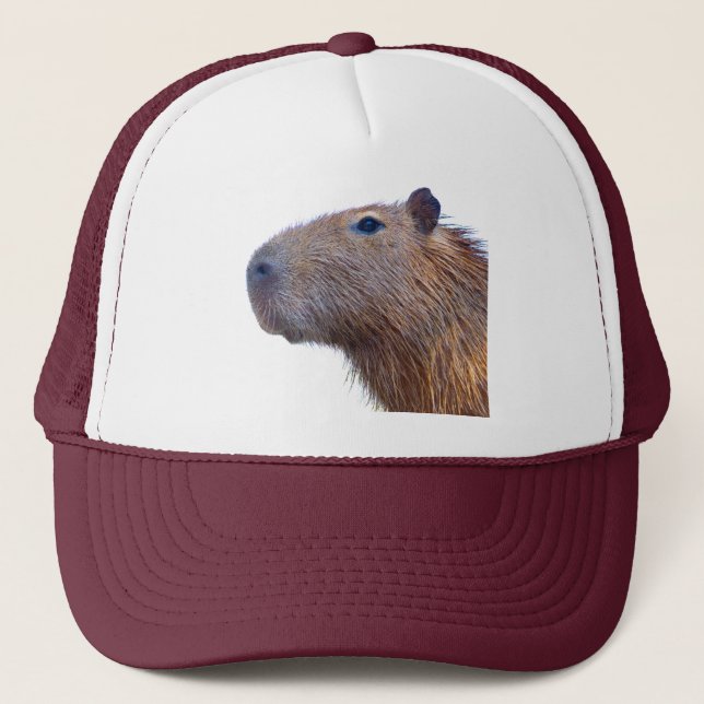 Capybara Keps (Framsida)