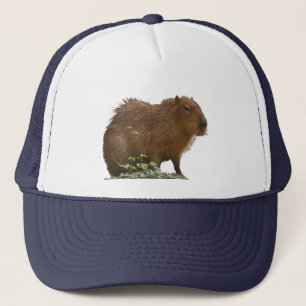 Capybara Keps
