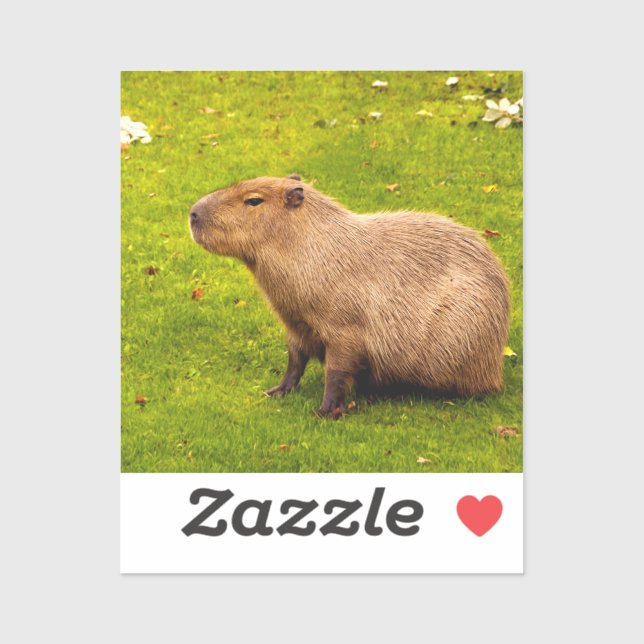 Capybara Klistermärken (Ark)