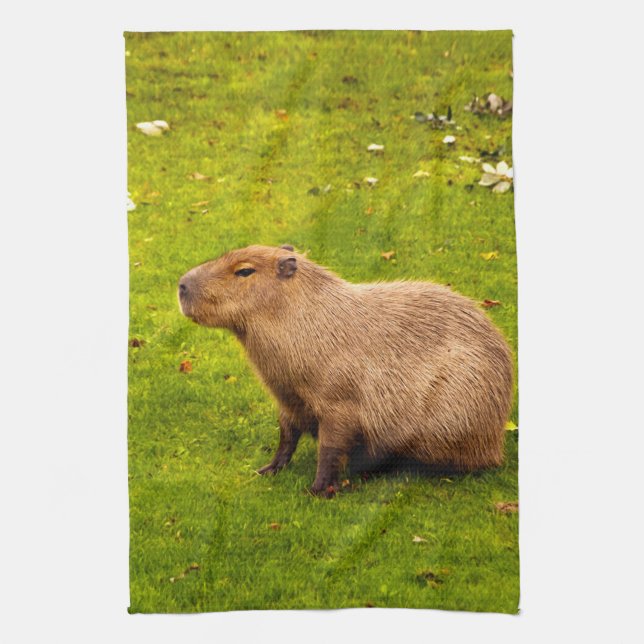 Capybara Kökshandduk (Vertikal)