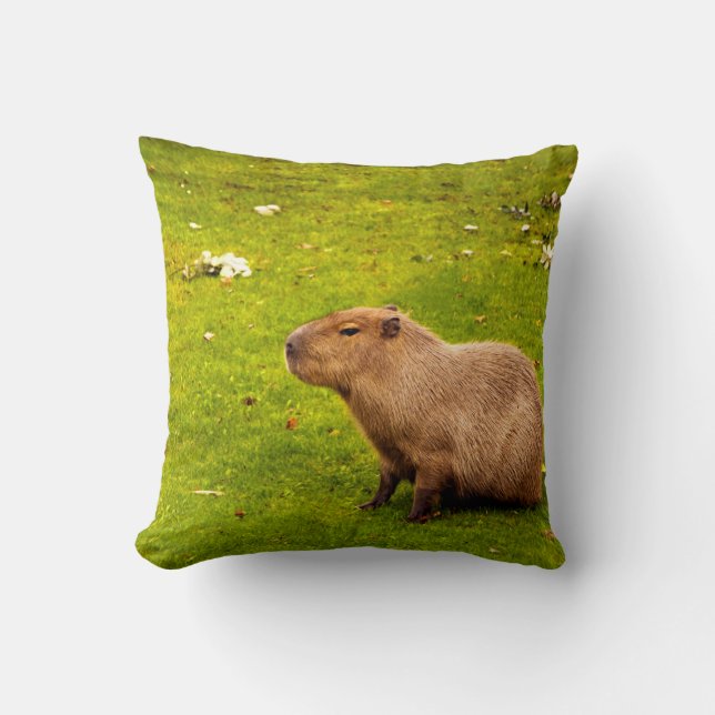 Capybara Kudde (Framsida)