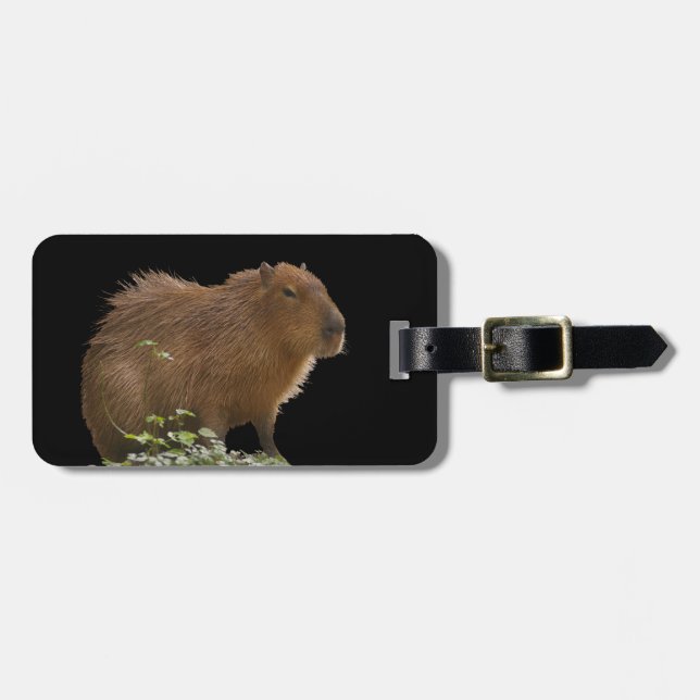 Capybara Luggage Tag Bagagebricka (Horisontell Framsida)