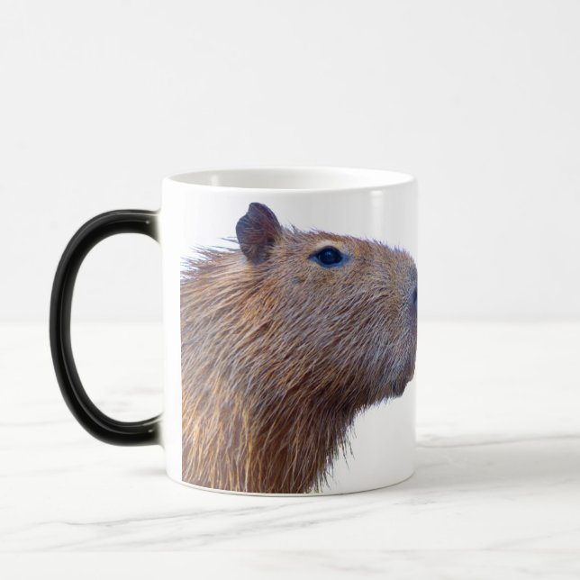 Capybara Magisk Mugg (Vänster)