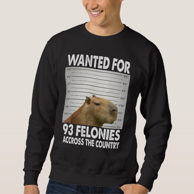 Capybara Mugshot Wanted For 93 Felonies Across The Lång Ärmad Tröja (Framsida)