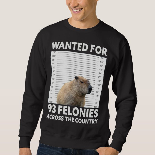 Capybara Mugshot Wanted For 93 Felonies Across The Lång Ärmad Tröja (Framsida)