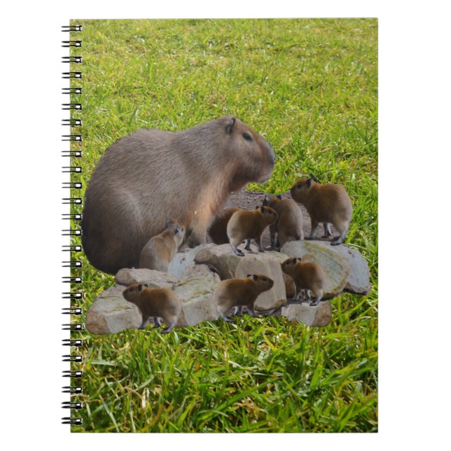 Capybara Mummy med Spädbarn, bärbar dator Anteckningsbok (Framsidan)