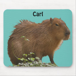 Capybara Musmatta