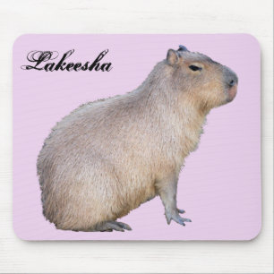 Capybara Musmatta