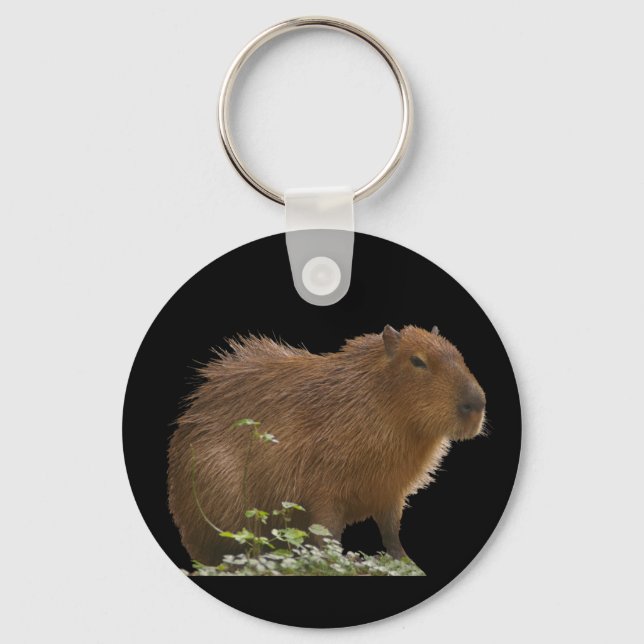 Capybara Nyckelring (Framsida)