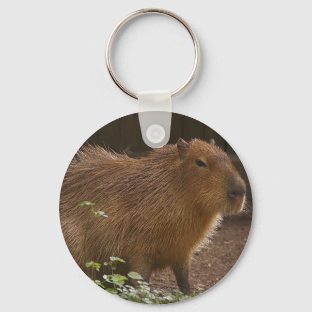 Capybara Nyckelring (Framsida)