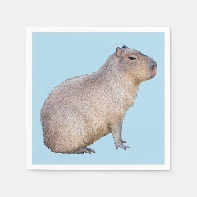 Capybara Pappersservett (Framsidan)