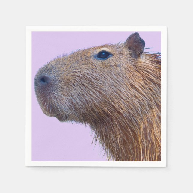 Capybara Pappersservett (Framsidan)