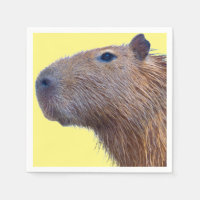 Capybara