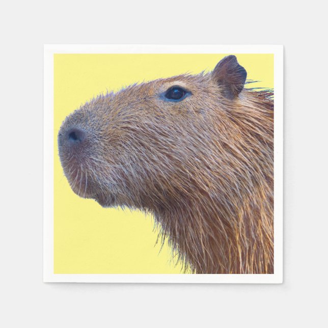 Capybara Pappersservett (Framsidan)