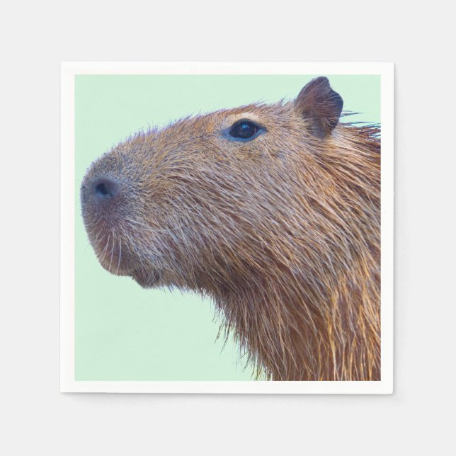 Capybara Pappersservett (Framsidan)
