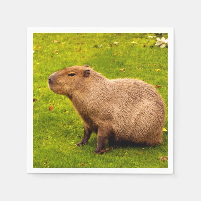 Capybara Pappersservett (Framsidan)