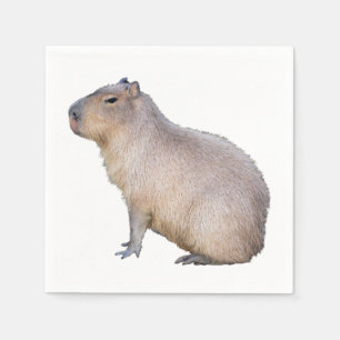 Capybara Pappersservett