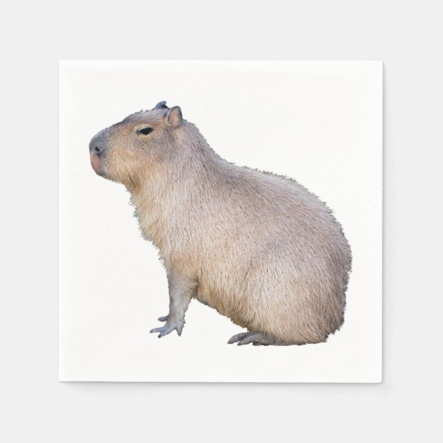 Capybara Pappersservett (Framsidan)