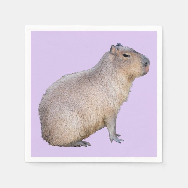 Capybara Pappersservett (Framsidan)