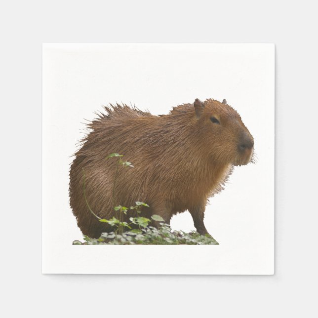 Capybara Pappersservett (Framsidan)