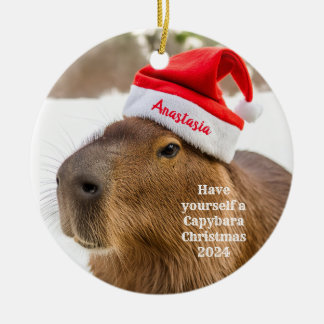 Capybara Personlig jul Ornament