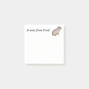 Capybara Post-it Block