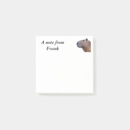 Capybara Post-it Block