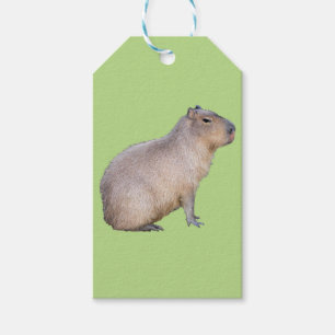 Capybara Presentetikett