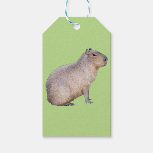 Capybara Presentetikett (Framsidan)