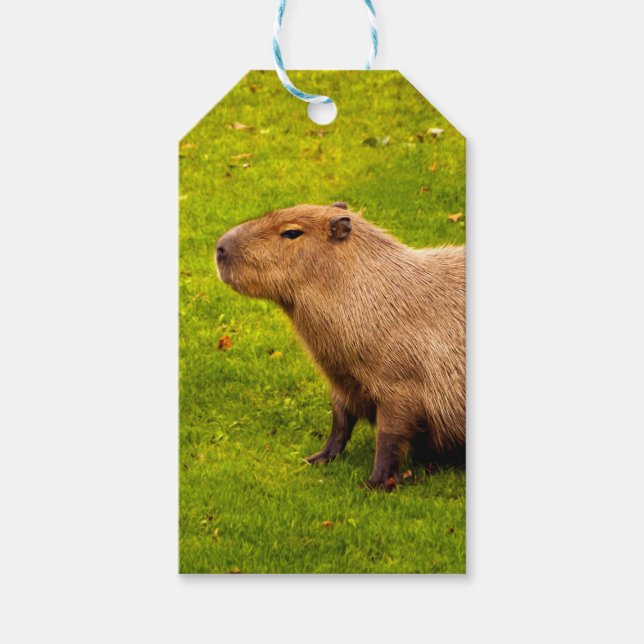 Capybara Presentetikett (Framsidan)