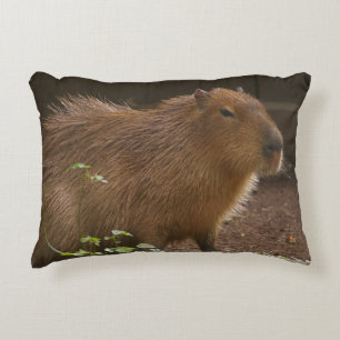 Capybara Prydnadskudde