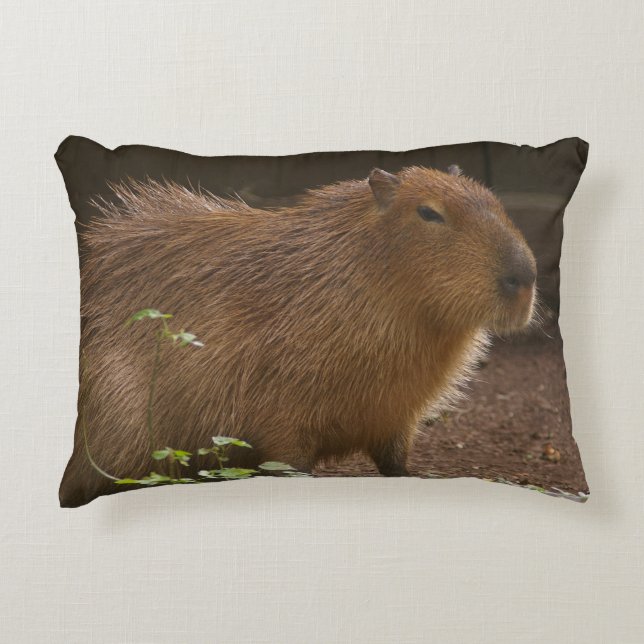 Capybara Prydnadskudde (Framsidan)