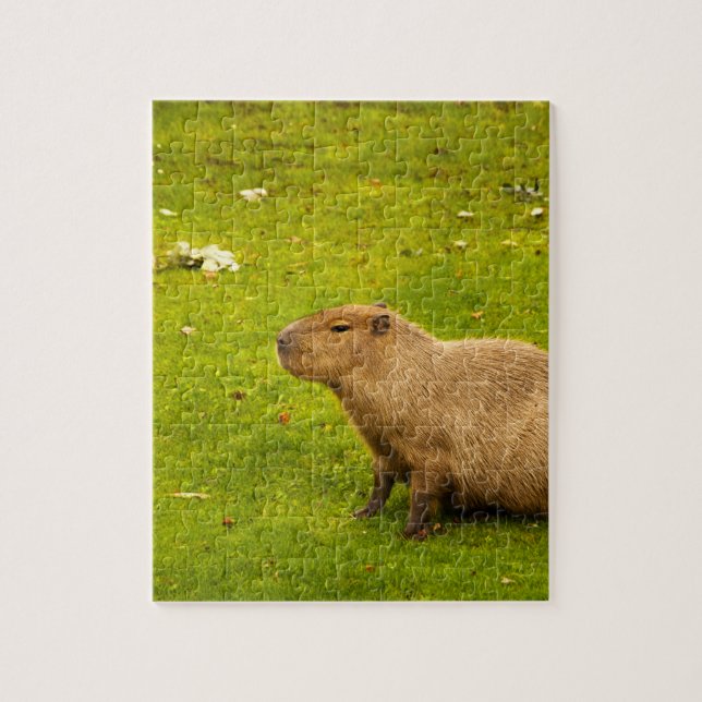 Capybara Pussel (Vertikal)