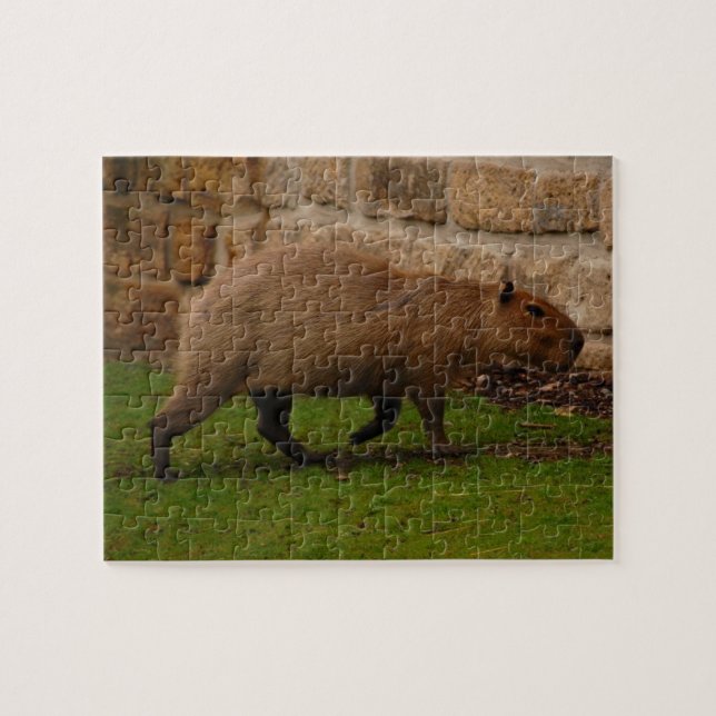 capybara pussel (Horisontell)