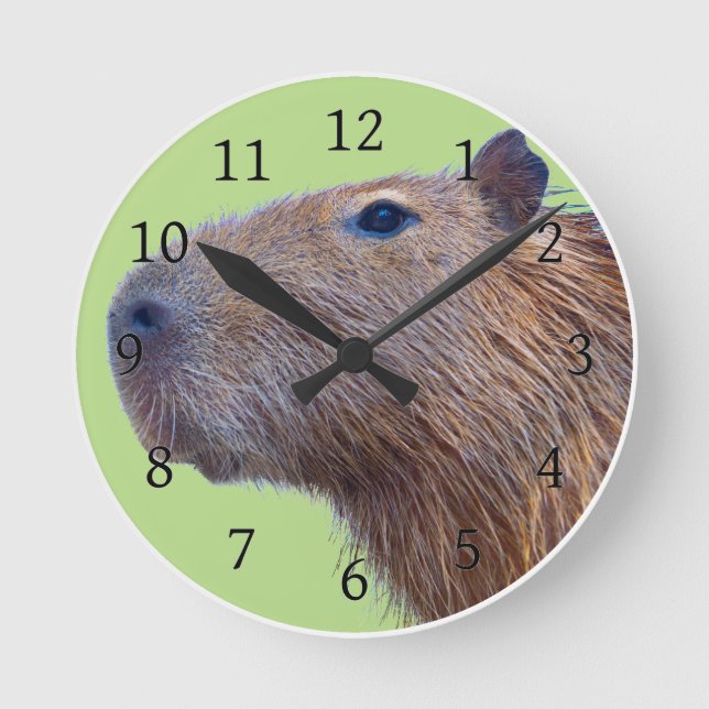 Capybara Rund Klocka (Framsida)