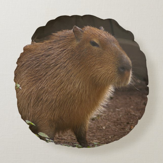 Capybara Rund Kudde (Framsidan)