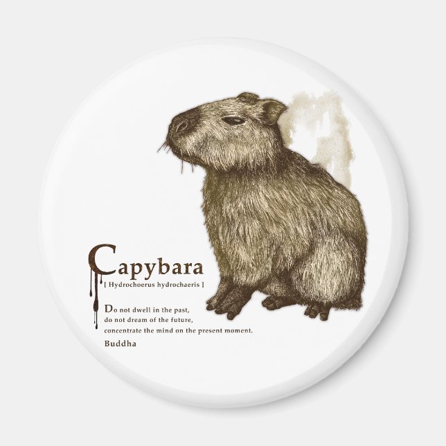 capybara - sepia magnet (Framsidan)