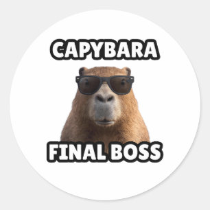 Capybara Sista Boss Rolig Klistermärke