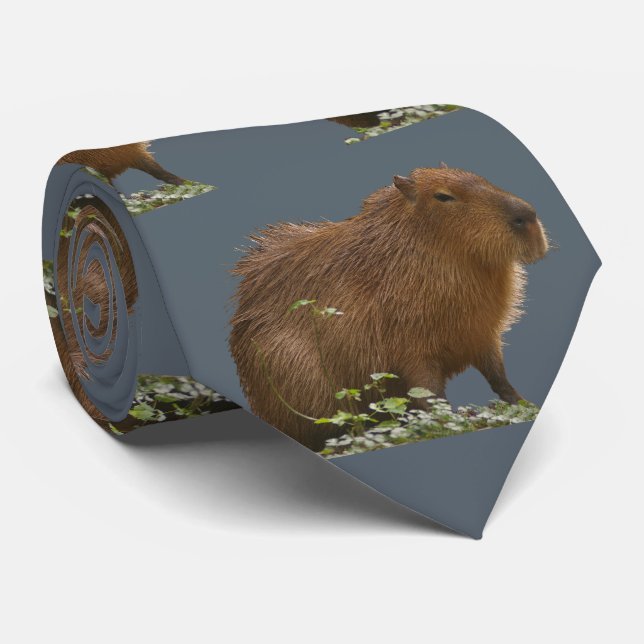Capybara Slips (Rullad)