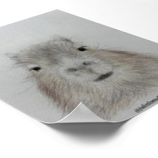 Capybara | Söt teckning av blyerts konsttryck Poster